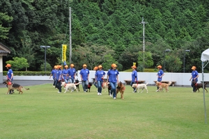 松山大型犬チーム
