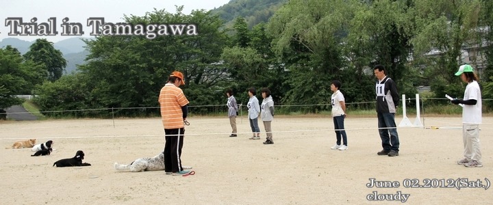 2012.06.02ʐgCA