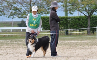 N・ノア