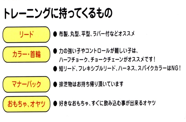 トレーニング時持参するもの